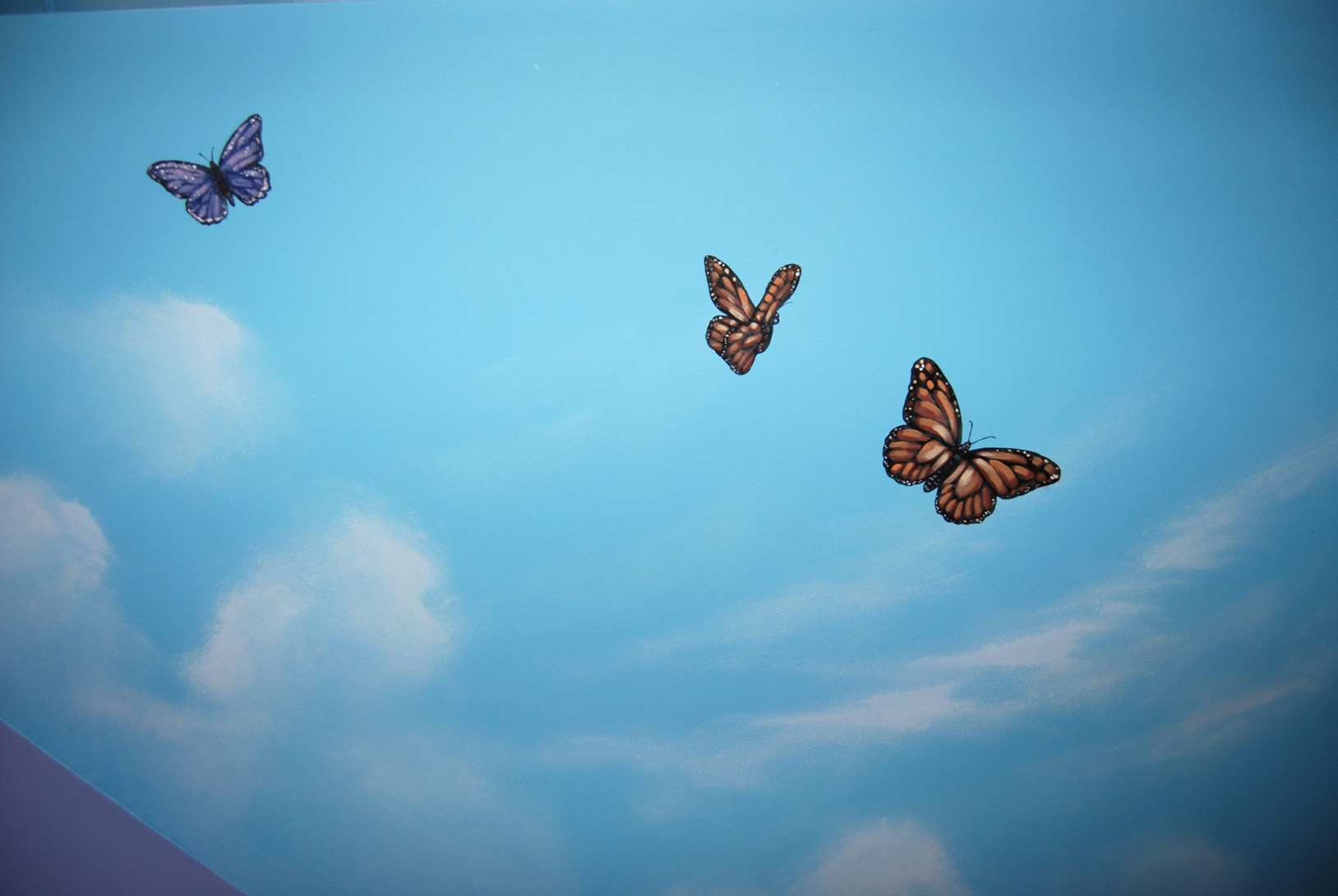 Butterfly Ceiling Mural - Mural Art